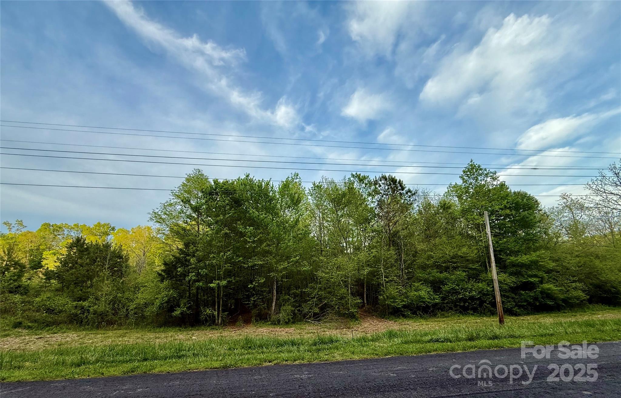0 Jason Road Seagrove, NC 27341 - Photo 2 of 19 a view of a yard