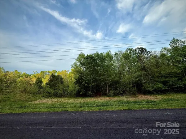 a view of a yard