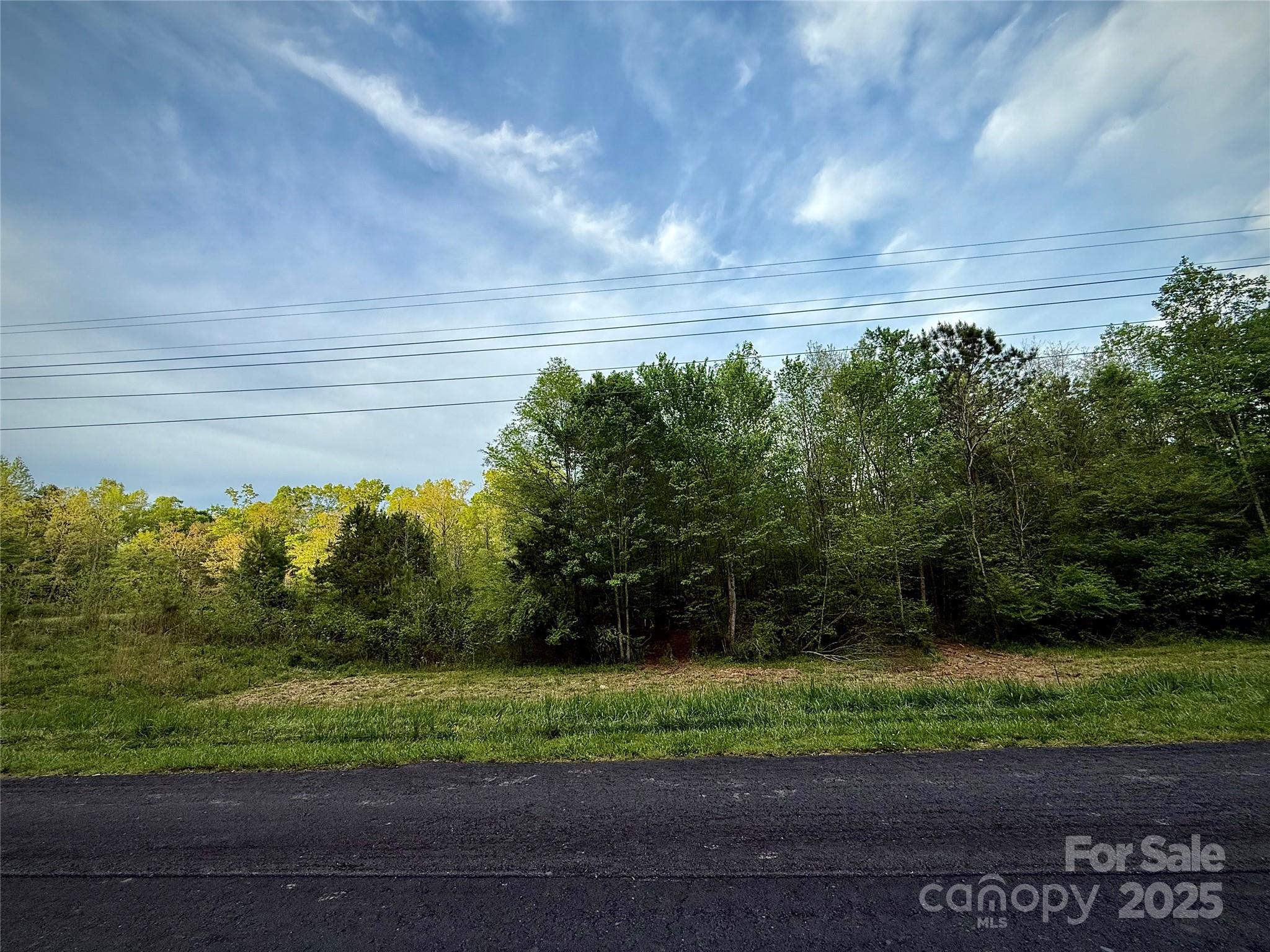 0 Jason Road Seagrove, NC 27341 - Photo 3 of 19 a view of a yard