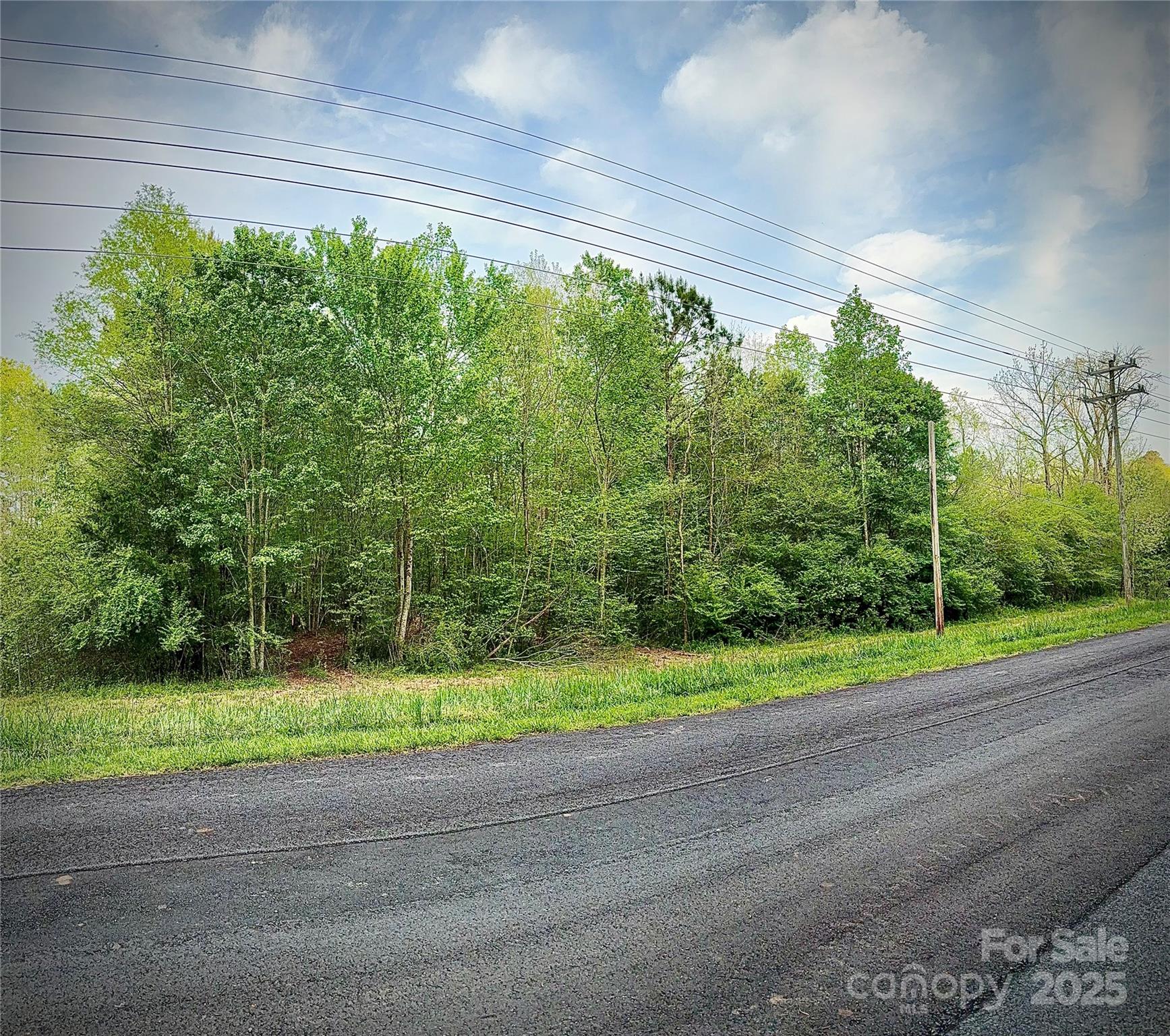 0 Jason Road Seagrove, NC 27341 - Photo 4 of 19 a view of a yard in a house