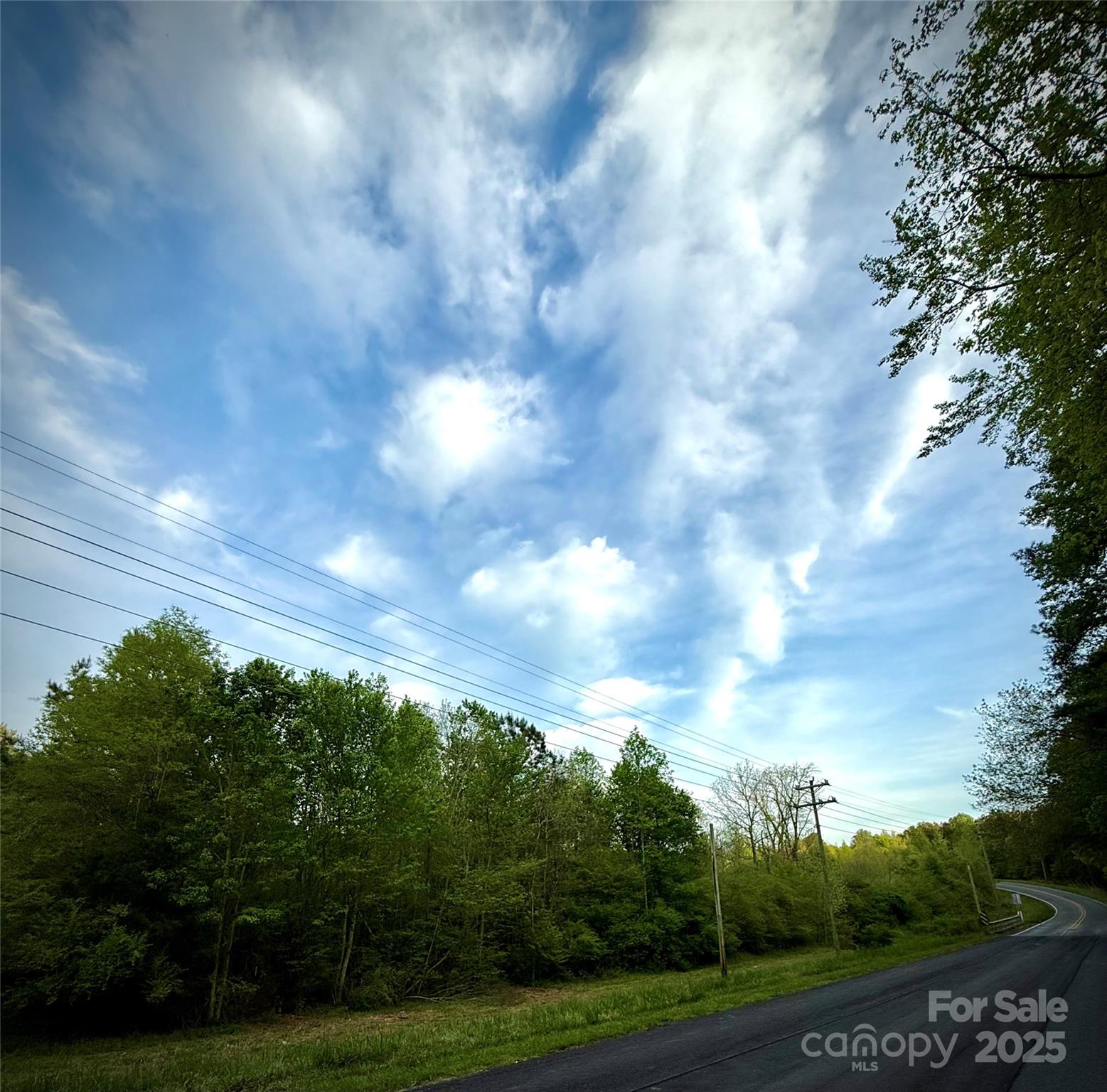 0 Jason Road Seagrove, NC 27341 - Photo 7 of 19