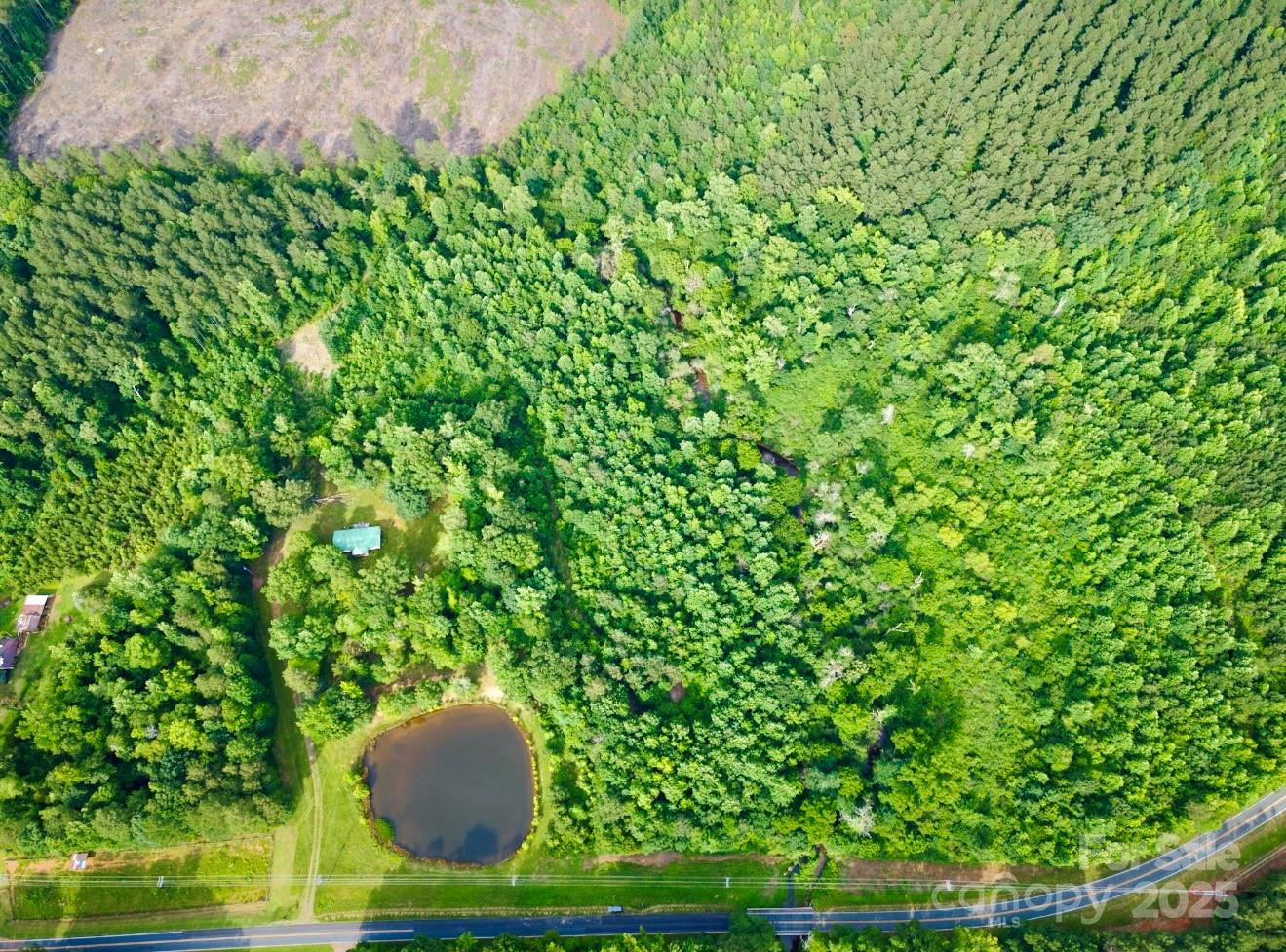 0 Jason Road Seagrove, NC 27341 - Photo 9 of 19 a view of a yard