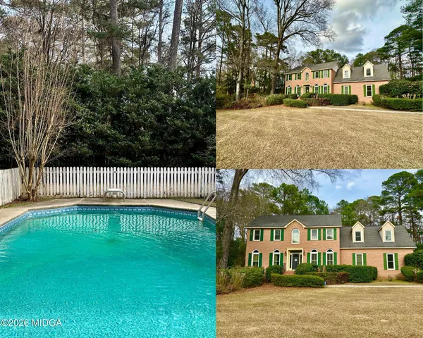 a view of park with large trees
