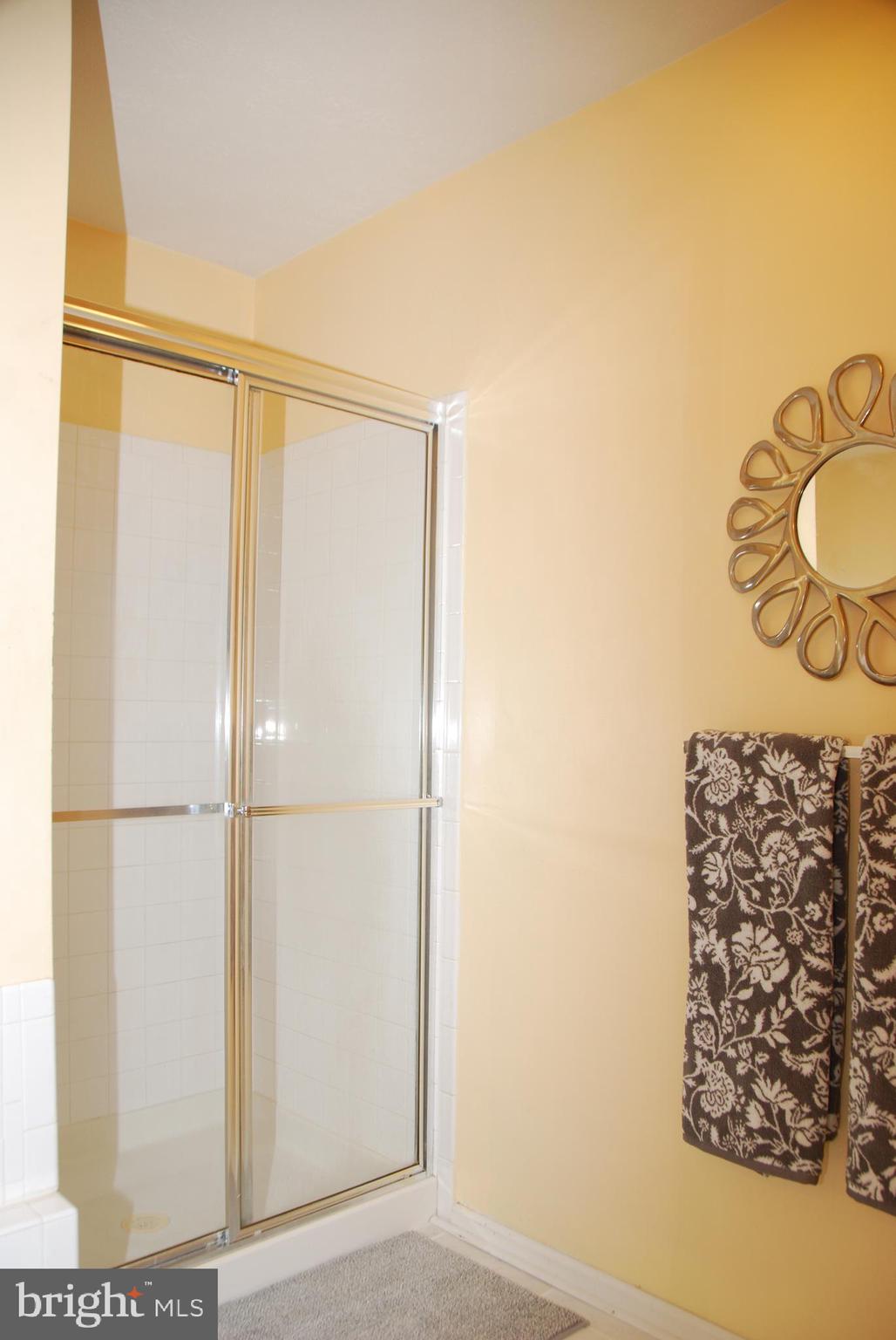 4605 Runnymeade Road Owings Mills, MD 21117 - Photo 38 of 43 Upper level Master bathroom