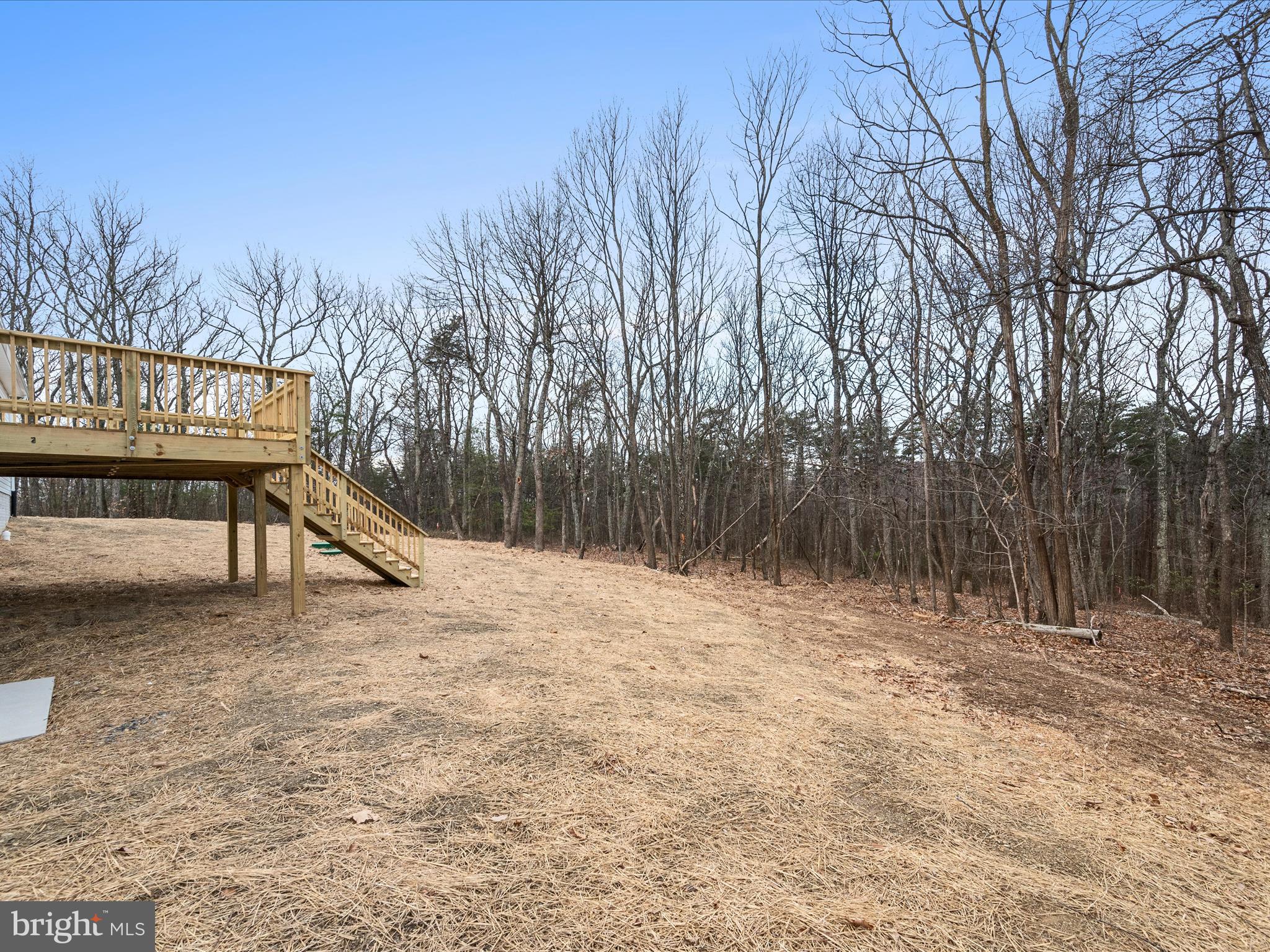 477 North Timber Ridge Road Cross Junction, VA 22625 - Photo 34 of 42 a view of backyard with trees