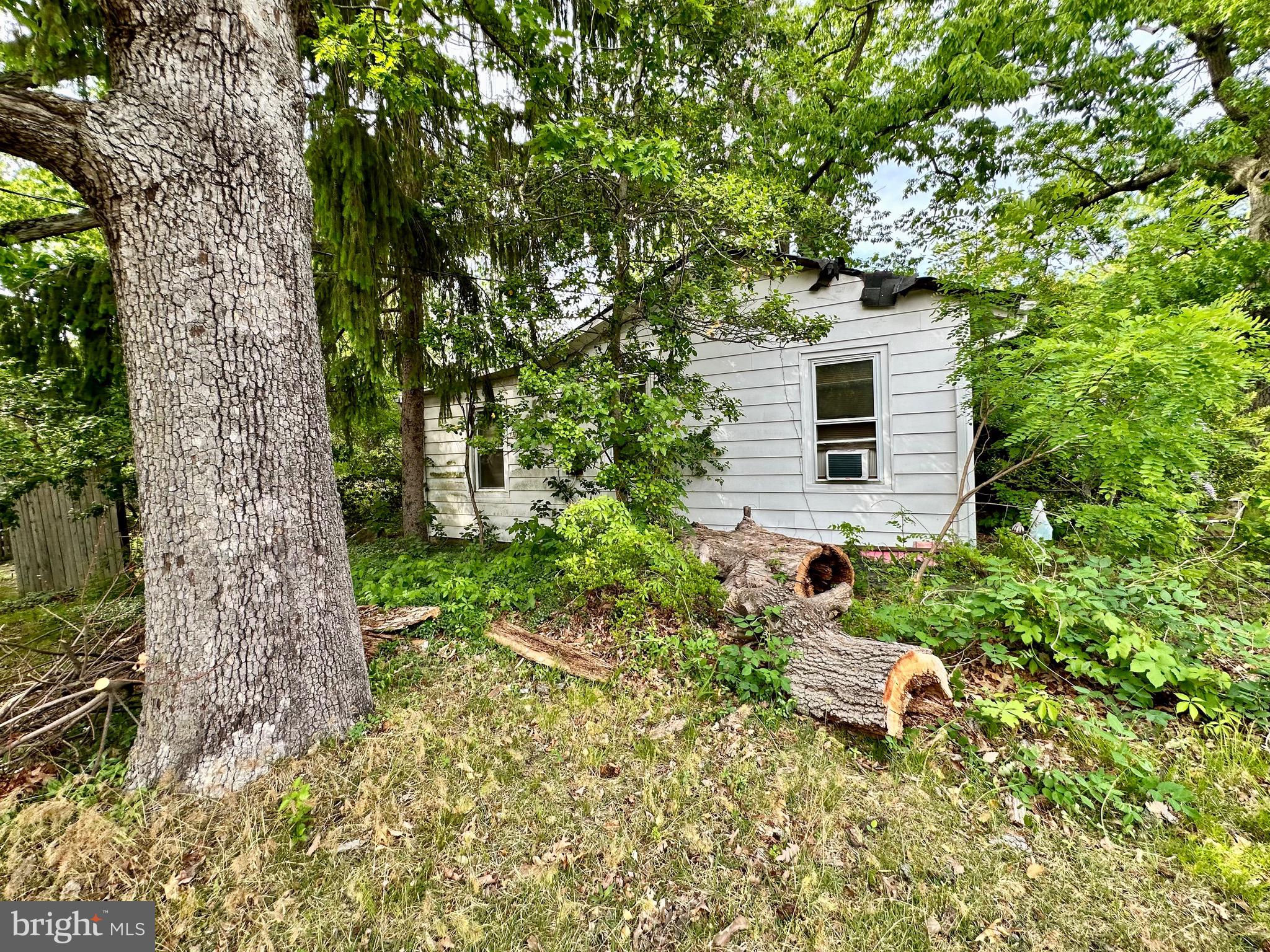 1604 Erial Road Pine Hill, NJ 08021 - Photo 12 of 15 a yellow house with lots of trees