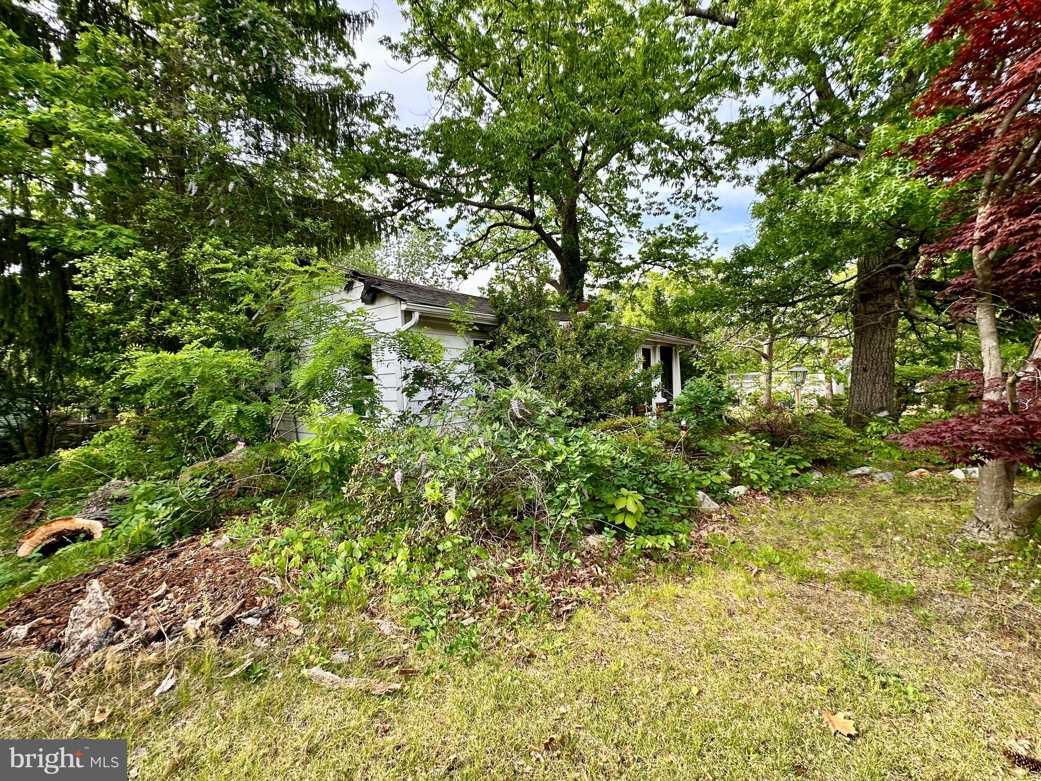 1604 Erial Road Pine Hill, NJ 08021 - Photo 13 of 15 a backyard of a house with lots of plants and tree