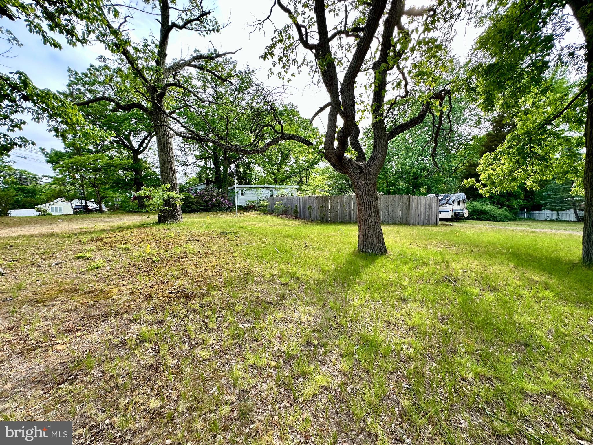 1604 Erial Road Pine Hill, NJ 08021 - Photo 15 of 15 a view of yard with trees