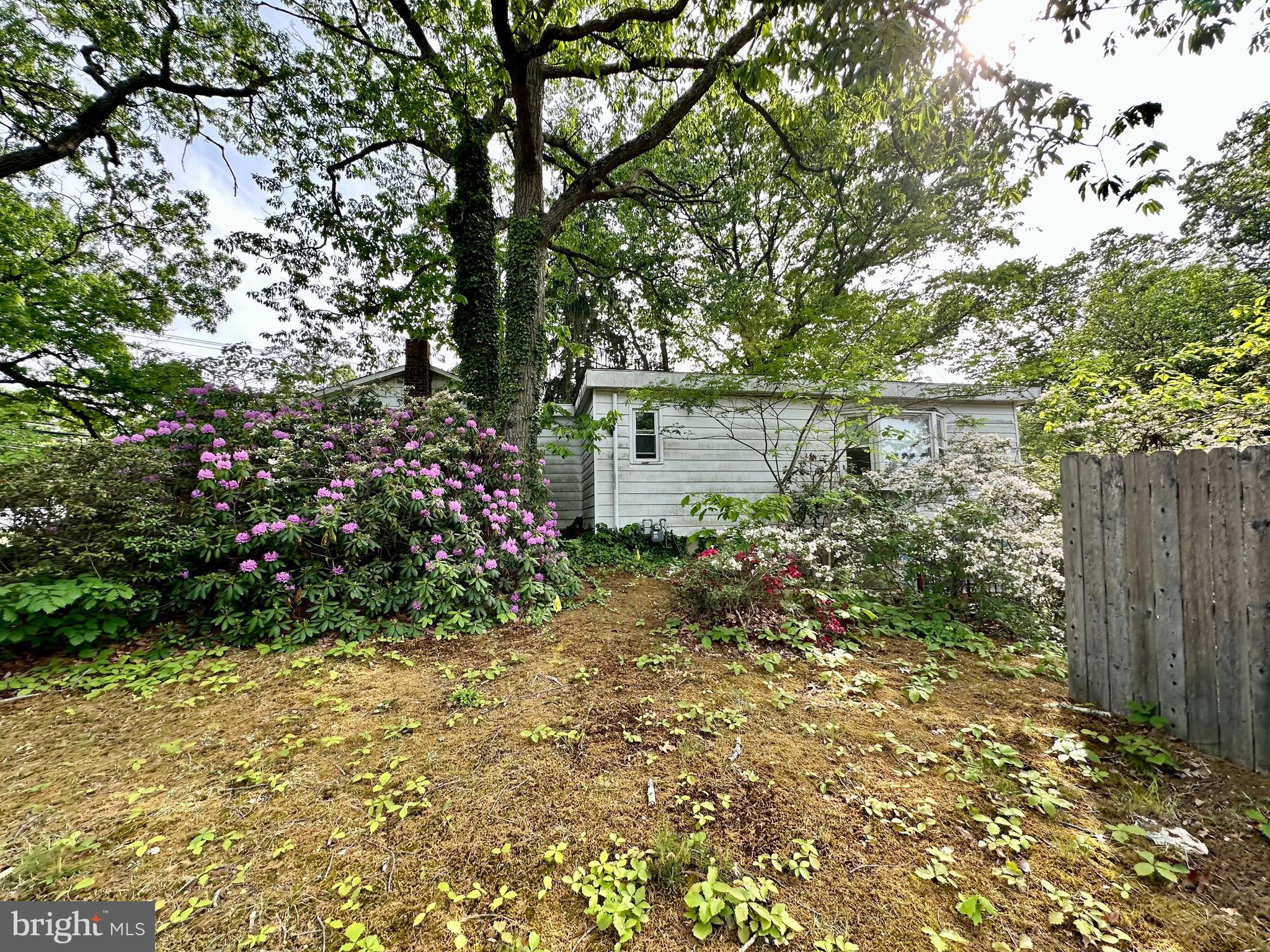 1604 Erial Road Pine Hill, NJ 08021 - Photo 5 of 15 a view of a house with large trees