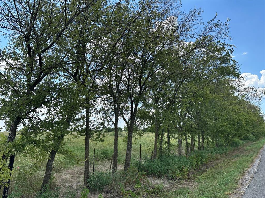 Lot 3 Rutledge Road Whitewright, TX 75491 - Photo 10 of 16