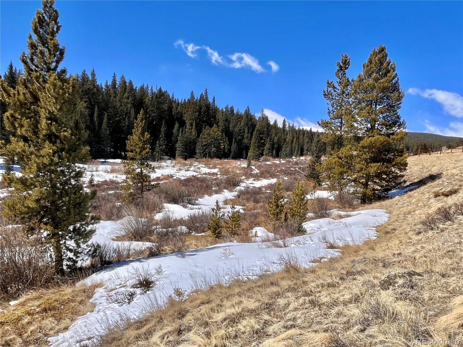 0 Co Road Alma, CO 80420 - Photo 11 of 28 Gallery Image 11