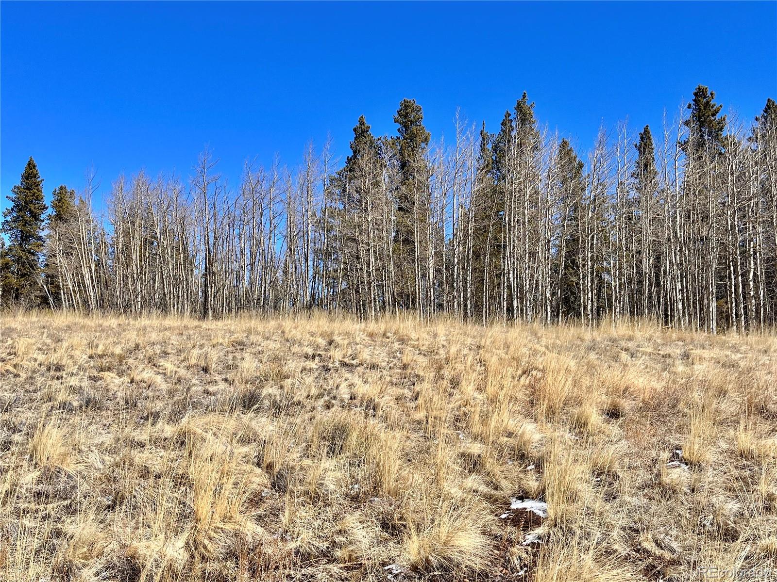 0 Co Road Alma, CO 80420 - Photo 14 of 28 Gallery Image 14