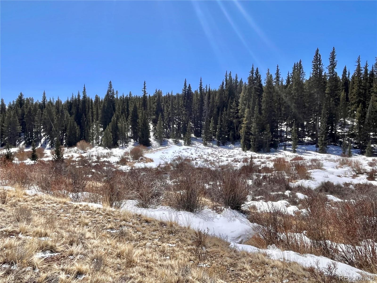 0 Co Road Alma, CO 80420 - Photo 15 of 28 Gallery Image 15