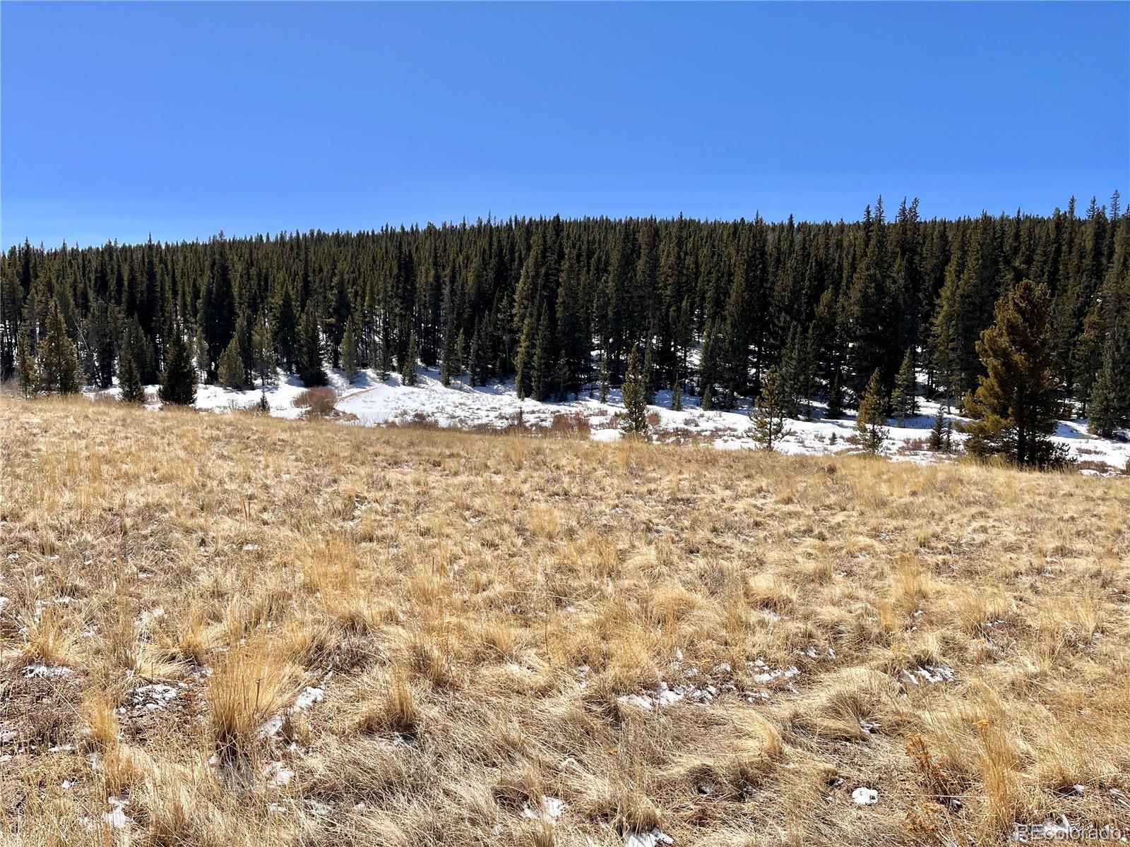 0 Co Road Alma, CO 80420 - Photo 20 of 28 Gallery Image 20