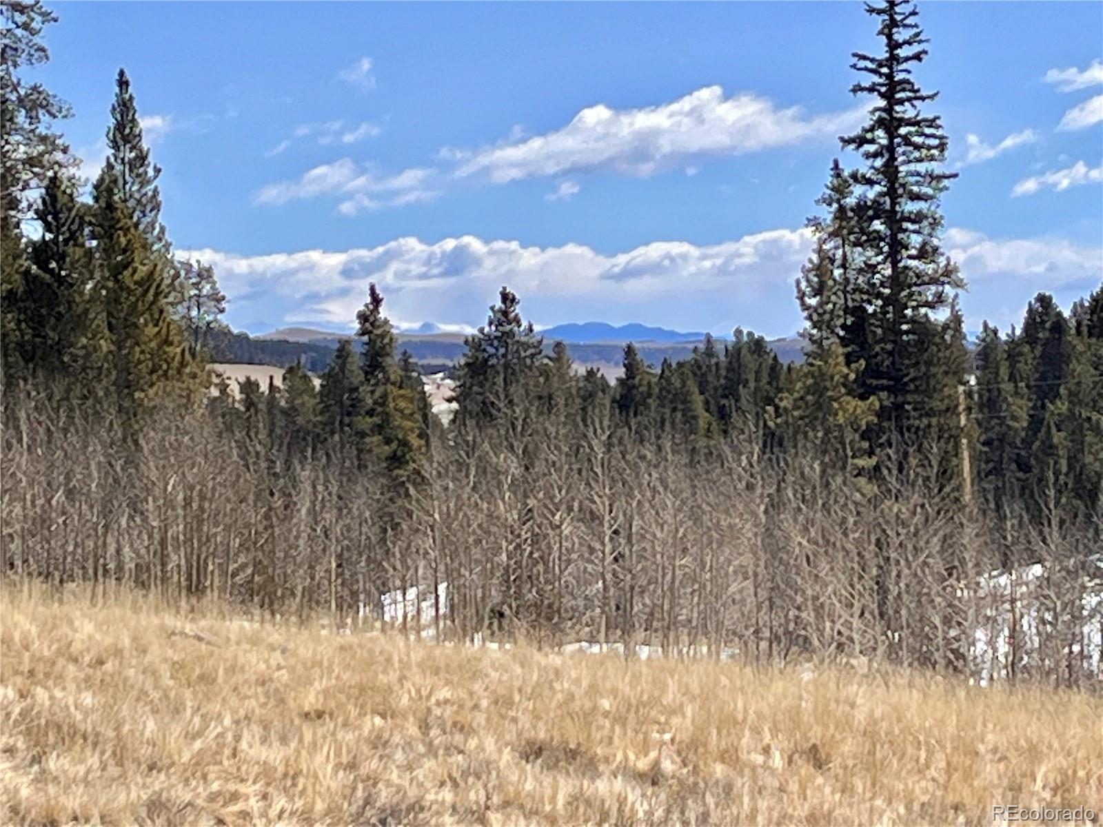 0 Co Road Alma, CO 80420 - Photo 2 of 28 Gallery Image 2