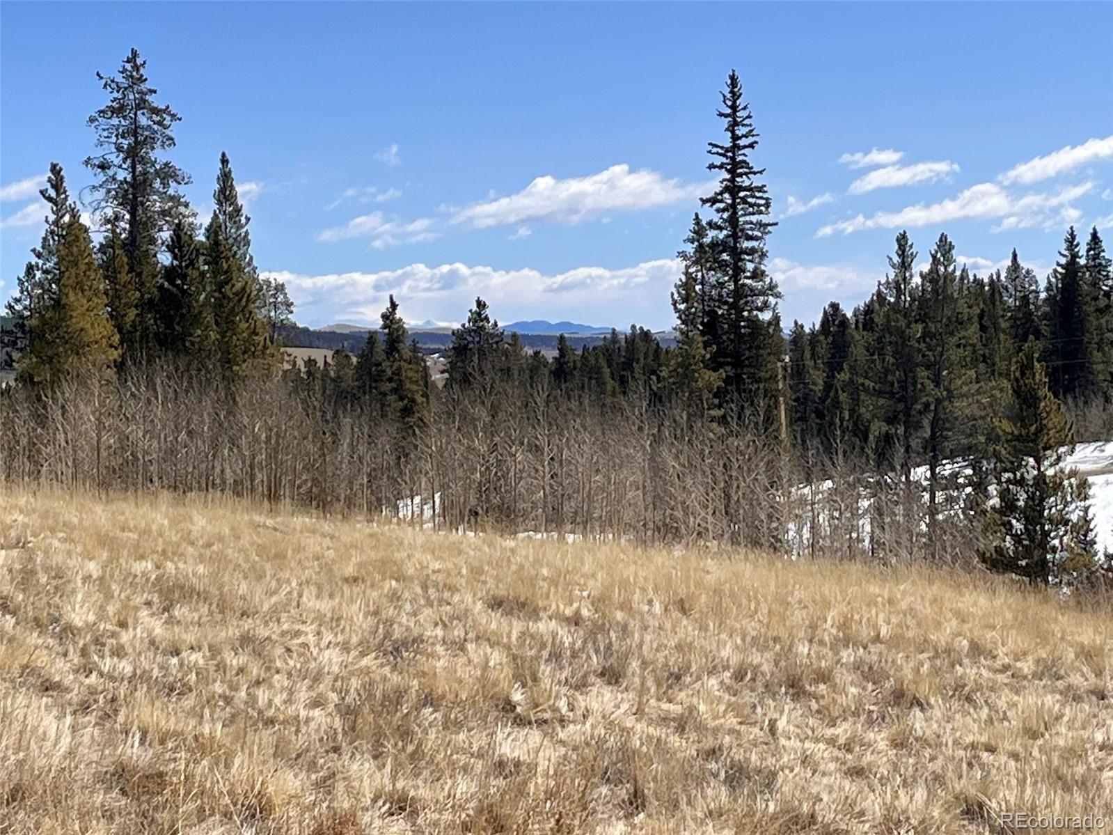 0 Co Road Alma, CO 80420 - Photo 22 of 28 Gallery Image 22