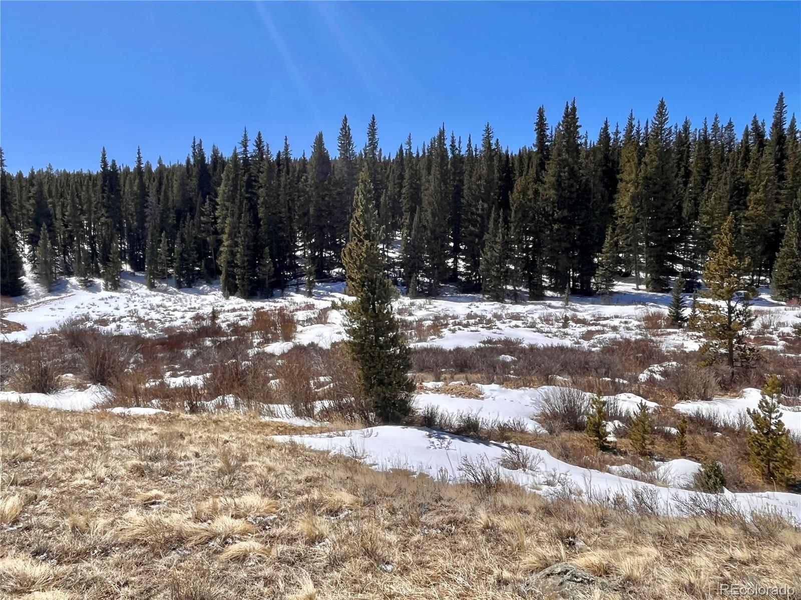 0 Co Road Alma, CO 80420 - Photo 24 of 28 Gallery Image 24