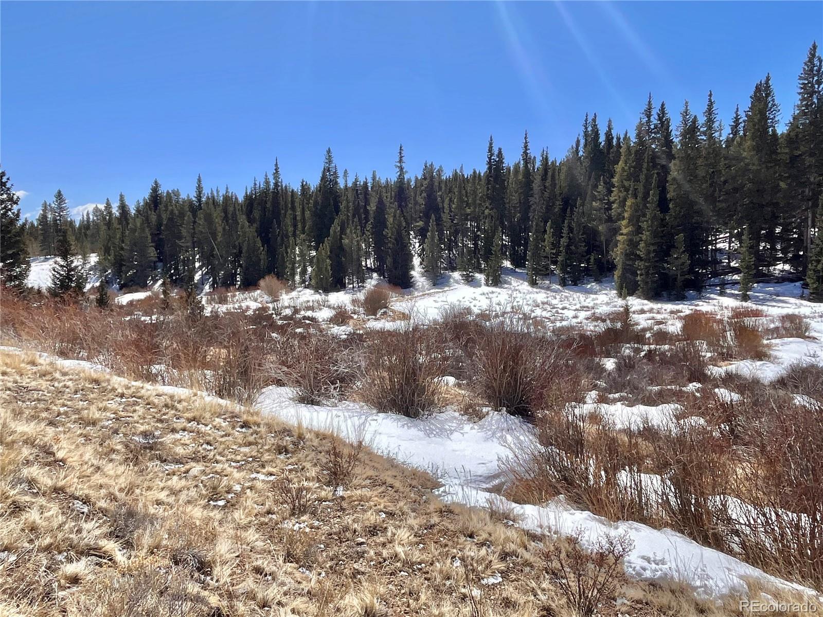 0 Co Road Alma, CO 80420 - Photo 26 of 28 Gallery Image 26