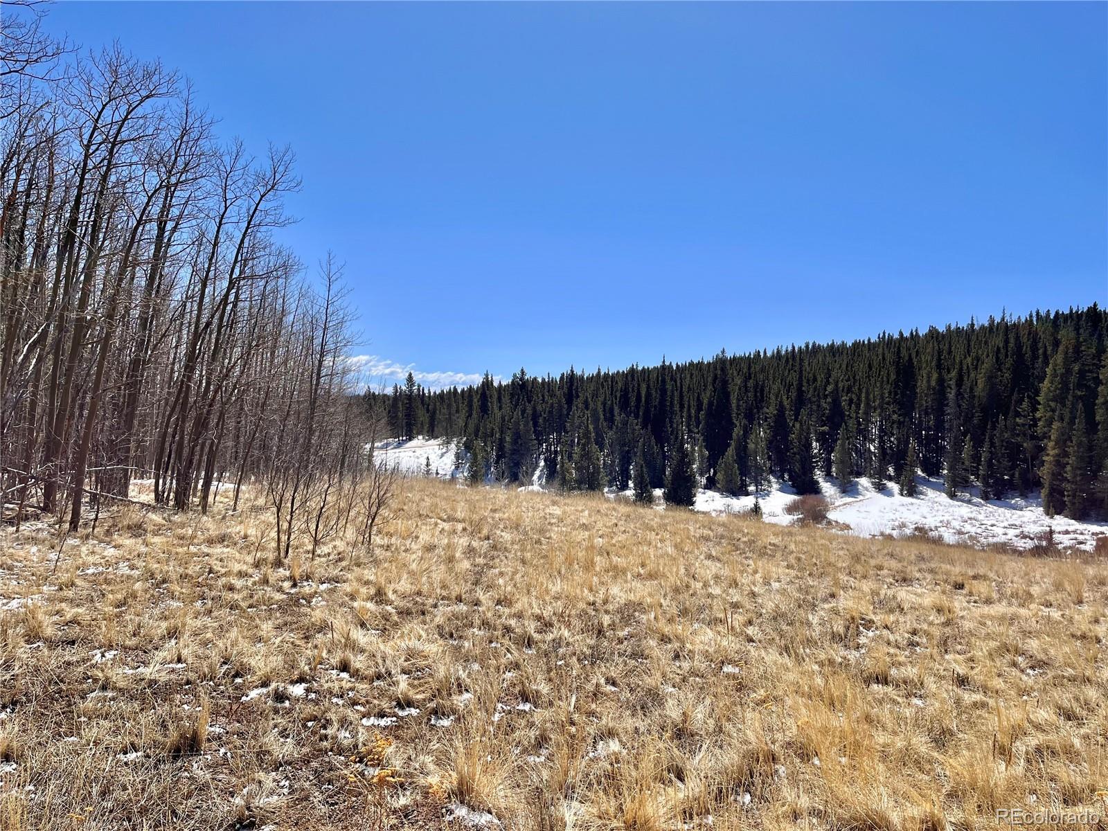 0 Co Road Alma, CO 80420 - Photo 27 of 28 Gallery Image 27