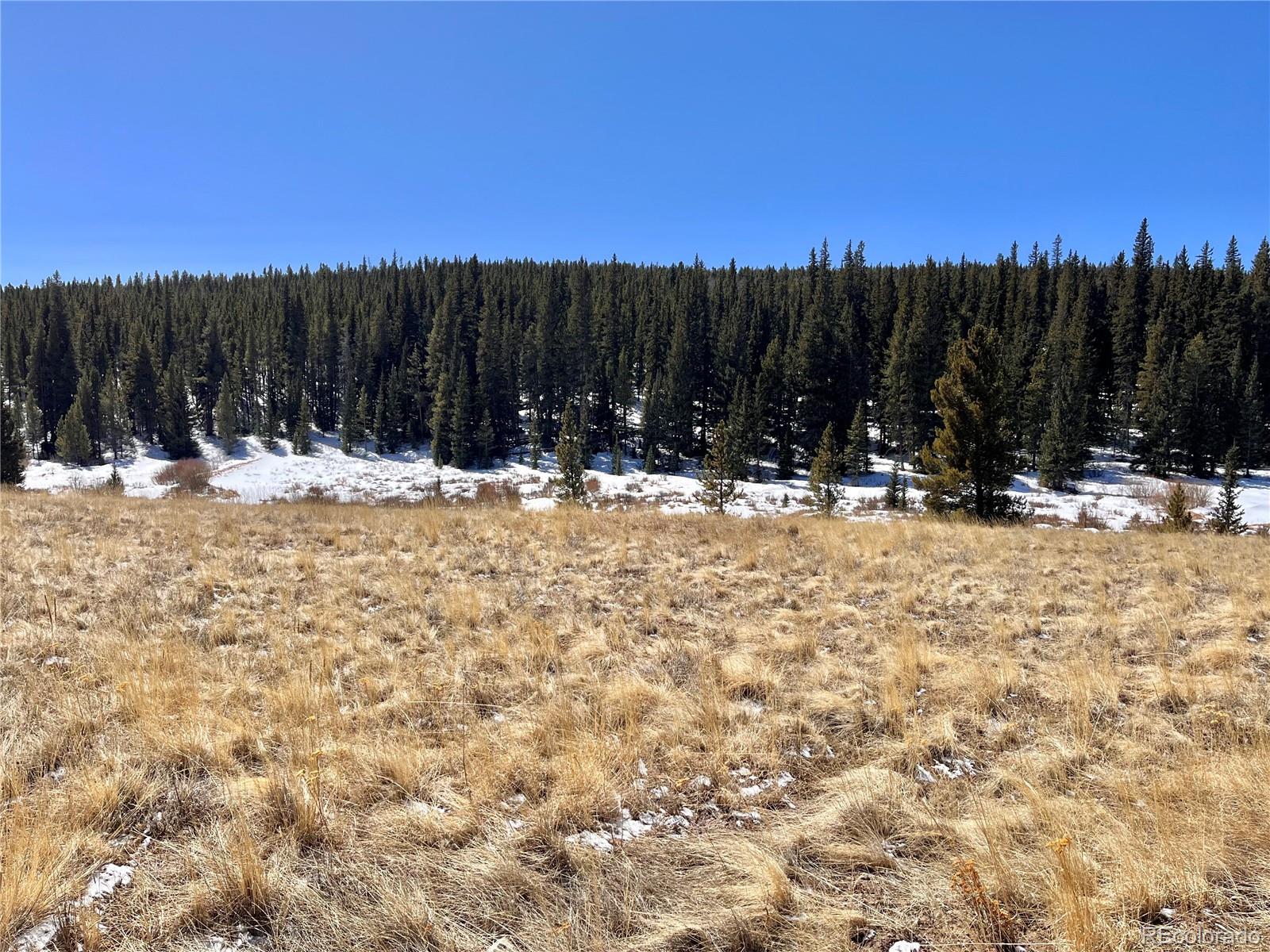 0 Co Road Alma, CO 80420 - Photo 28 of 28 Gallery Image 28