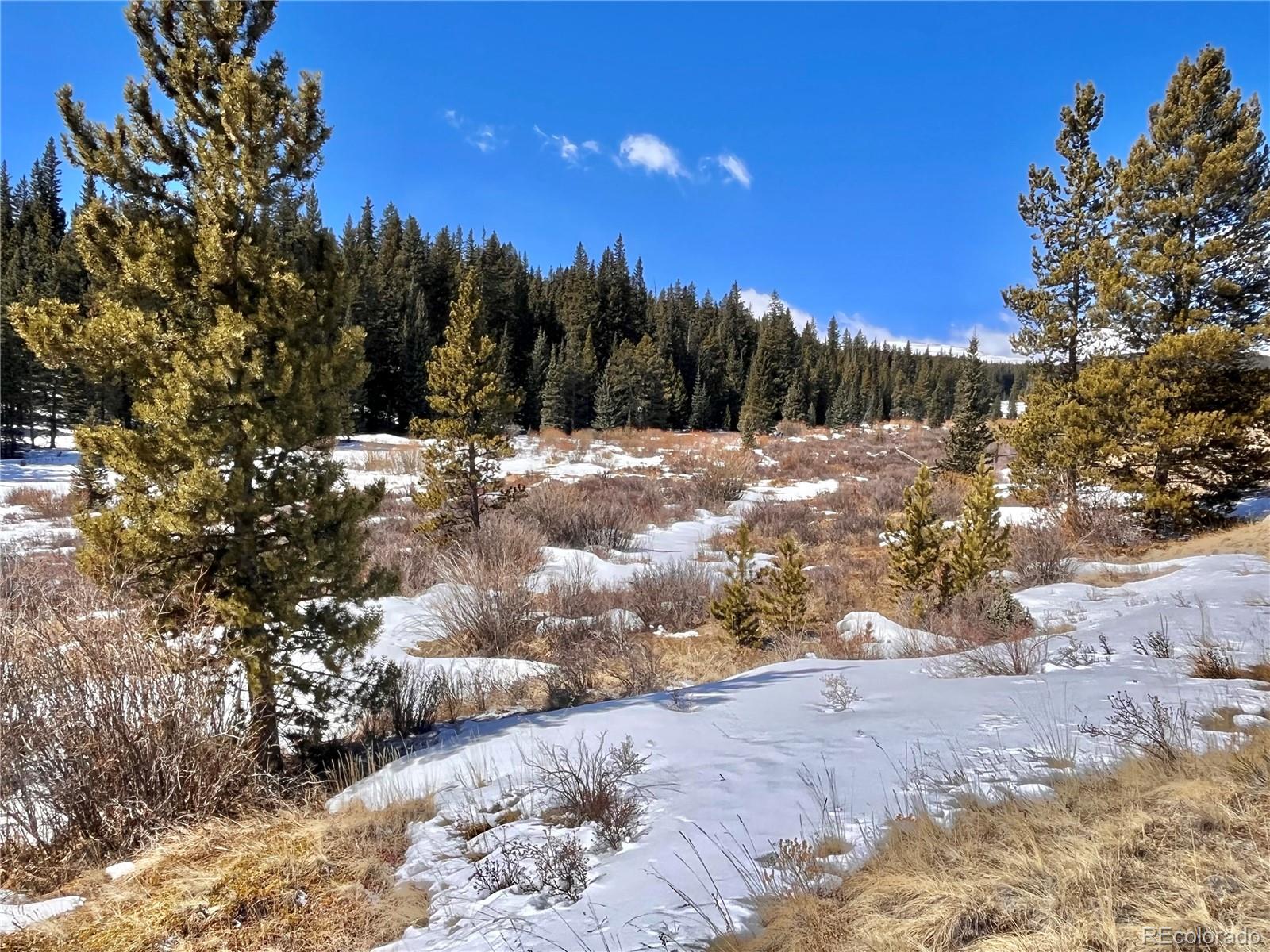 0 Co Road Alma, CO 80420 - Photo 5 of 28 Gallery Image 5