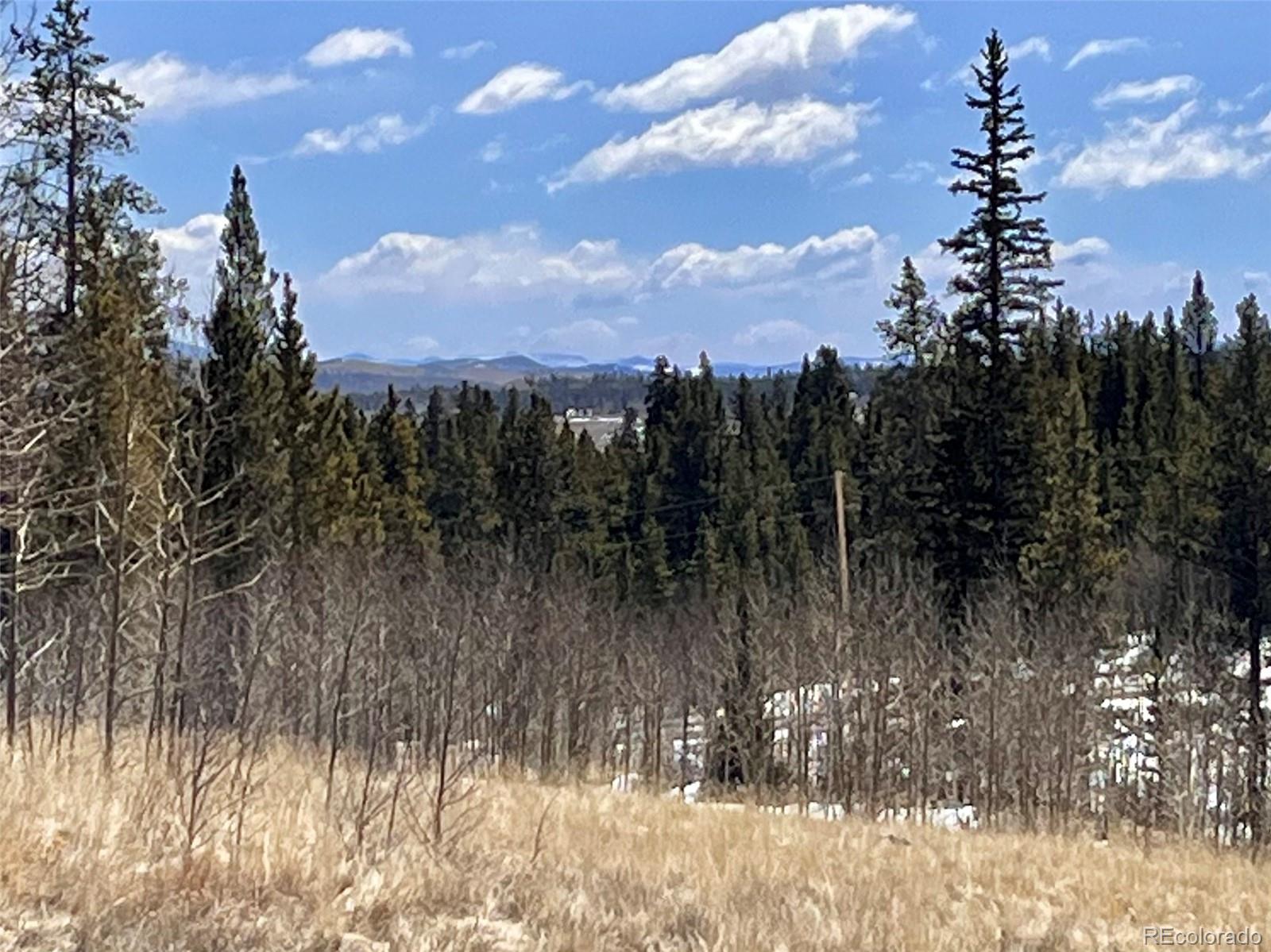 0 Co Road Alma, CO 80420 - Photo 9 of 28 Gallery Image 9