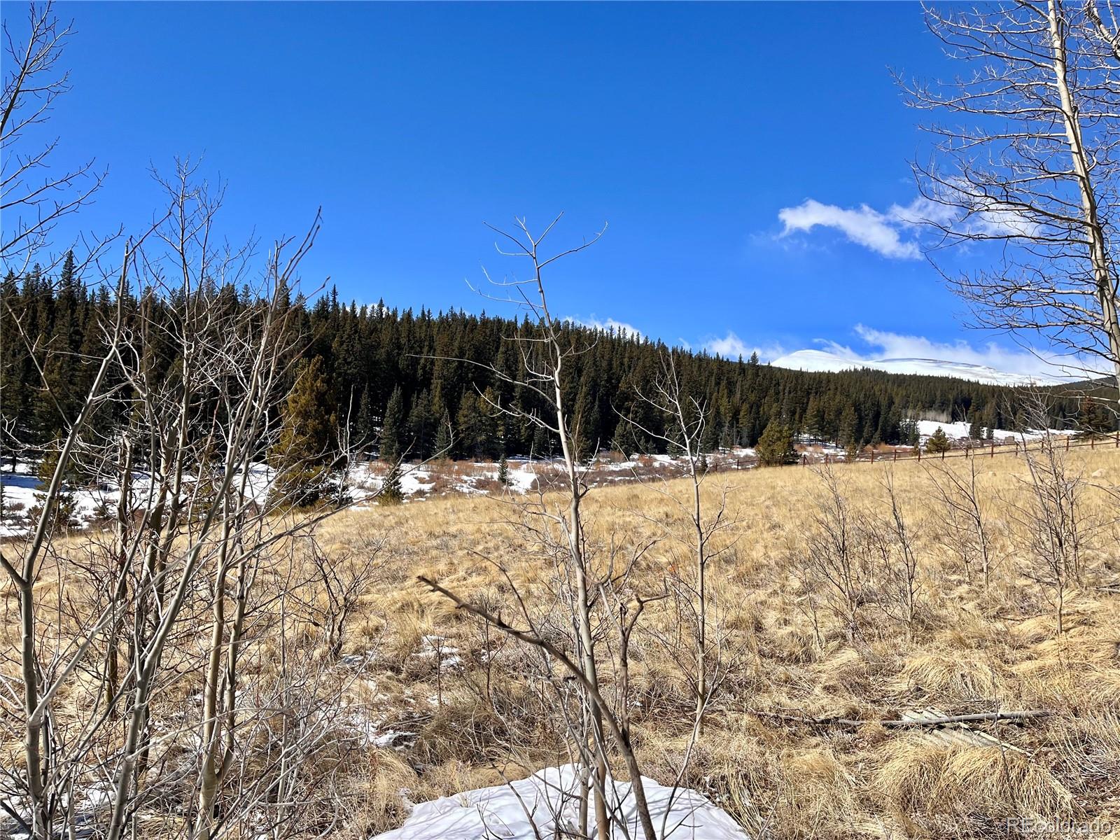 0 Co Road Alma, CO 80420 - Photo 10 of 28 Gallery Image 10