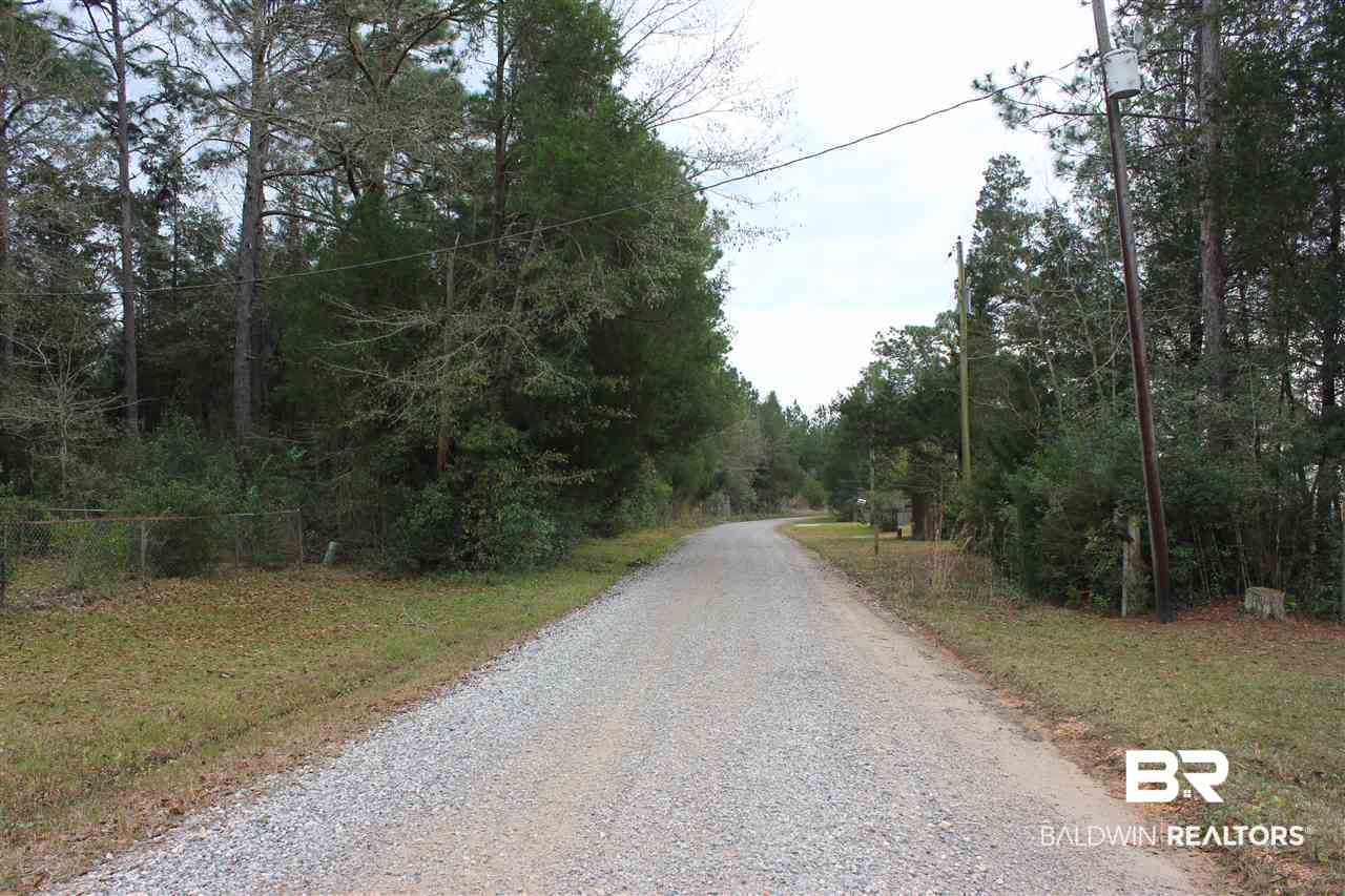 17921 Kingway Road Seminole, AL 36574 - Photo 23 of 29 Street at Front