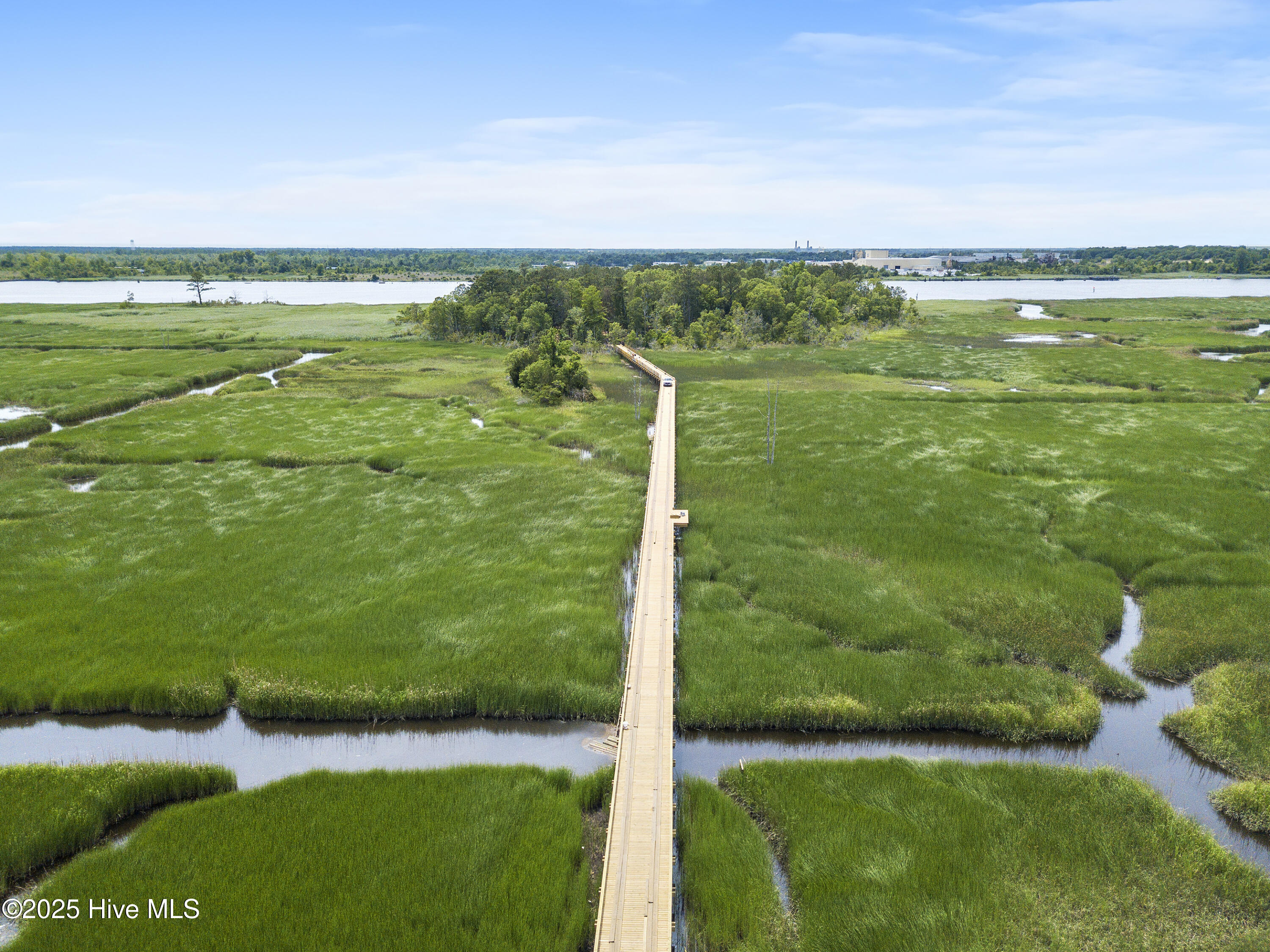 1017 Tidal Lane, Unit 8A Wilmington, NC 28401 - Photo 30 of 45 mls-DJI_0126