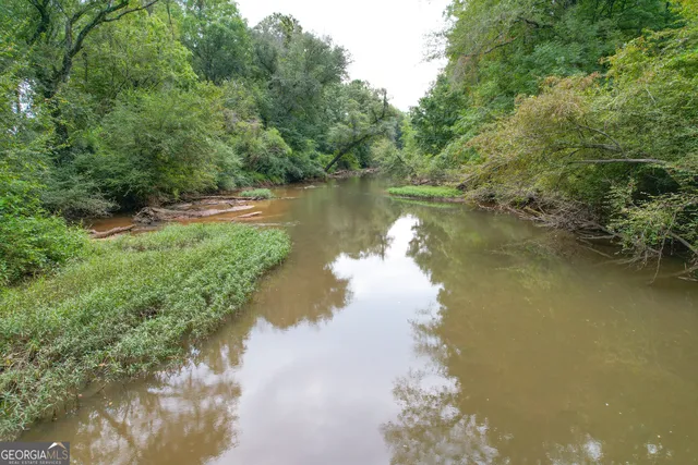 a view of a yard with an trees