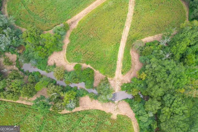 a view of a lake with beach and large trees