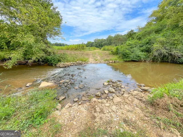 a view of a yard with a tree
