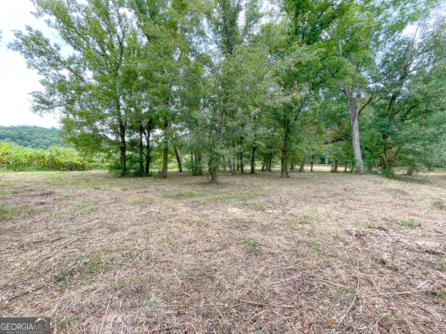 a view of a garden with a lake