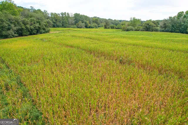 a aerial view of a houses with yard