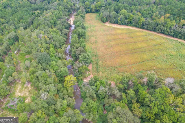a view of a yard with a trees
