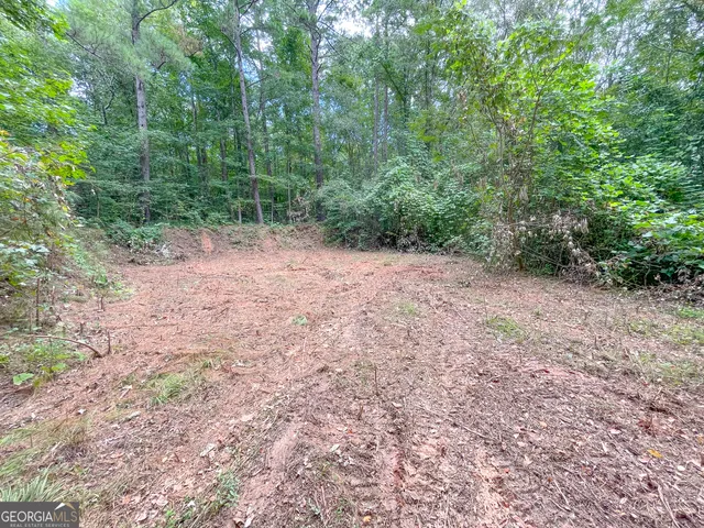 a green field with lots of trees in the background