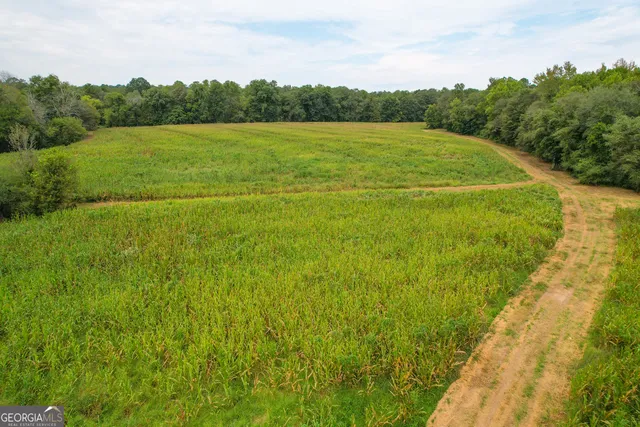 a view of a yard with wooden fence