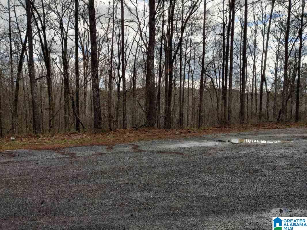 0 Daniel Drive, Unit 23 Trafford, AL 35172 - Photo 4 of 6