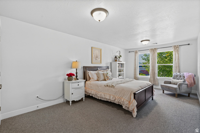 681 Island Road Morgan, UT 84050 - Photo 17 of 49 Bright bedroom featuring two windows with natural light, textured carpeting, white baseboards, and two flush mount ceiling lights