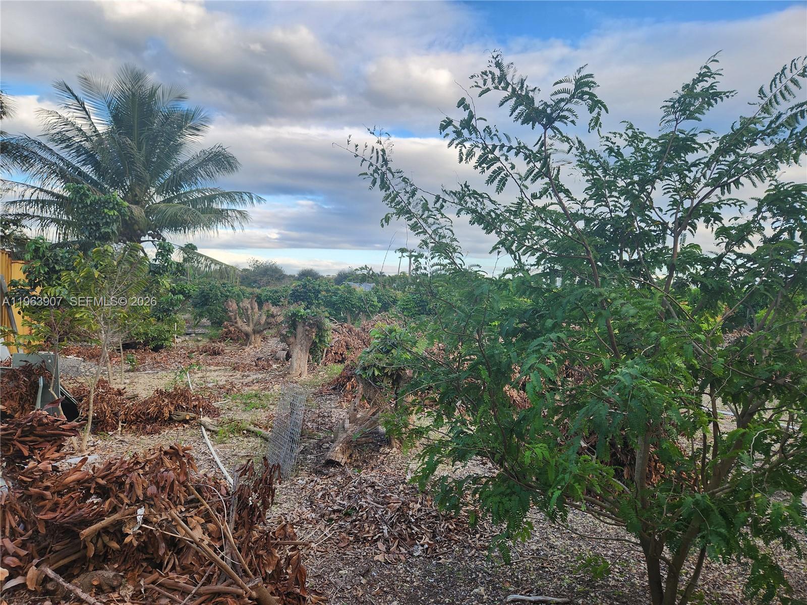 23801 Southwest 217th Avenue Homestead, FL 33031 - Photo 13 of 14 a view of a bunch of trees