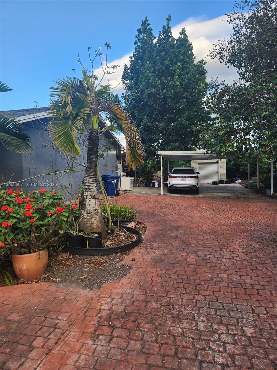 23801 Southwest 217th Avenue Homestead, FL 33031 - Photo 6 of 14 a view of a backyard with plants and trees