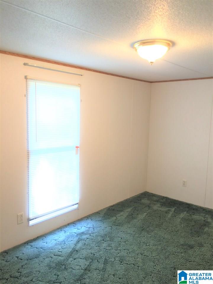 166 Asaro Place Springville, AL 35146 - Photo 43 of 46
