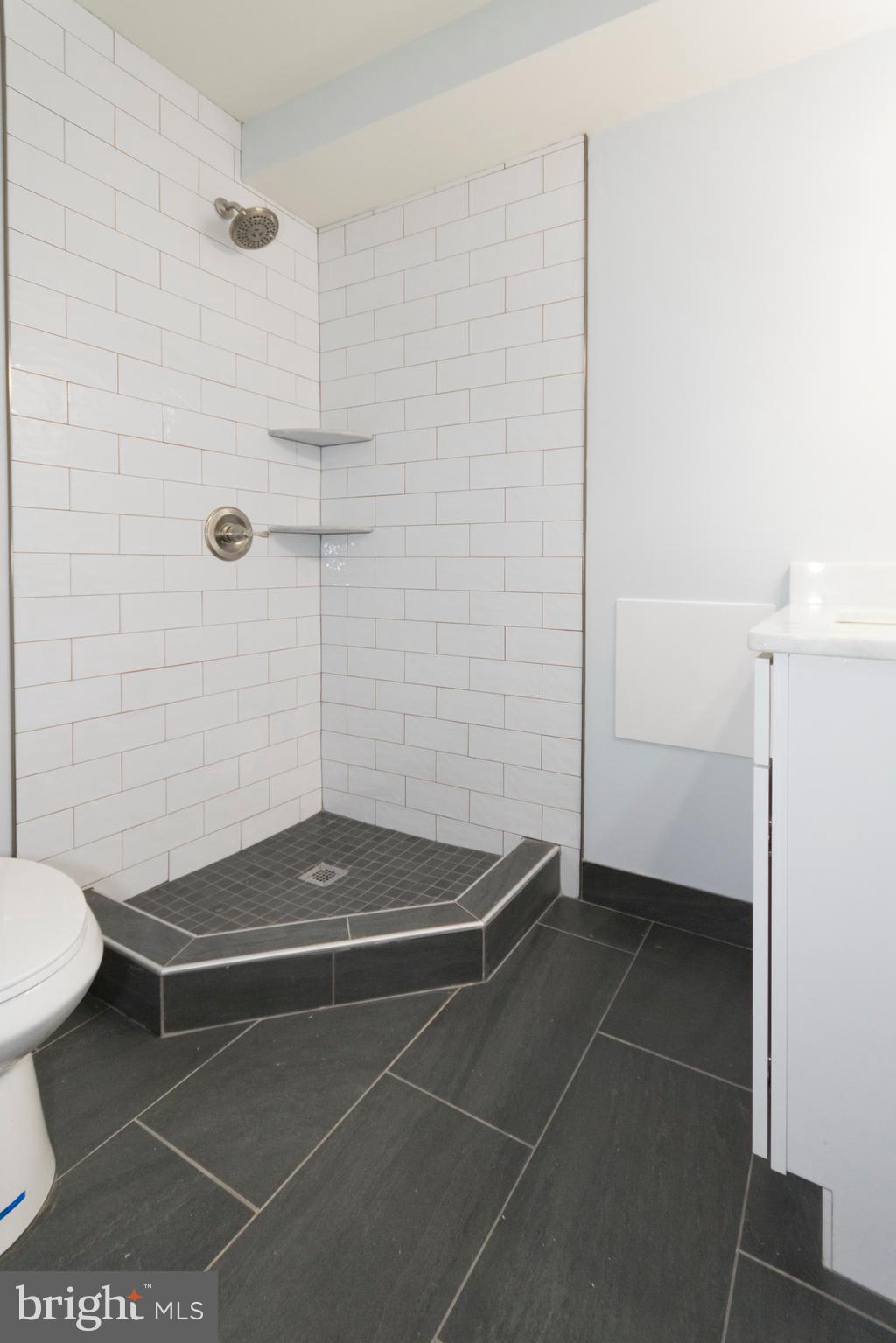 1371 Morris Road Southeast Washington, DC 20020 - Photo 39 of 46 Basement bathroom with standing shower