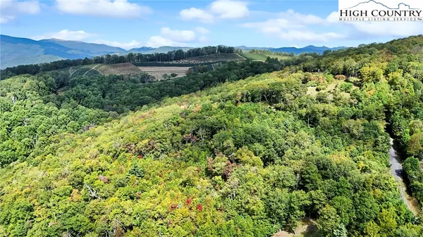 $219,000 | Lot 10 Mountain Laurel Parkway, Newland, NC 28657