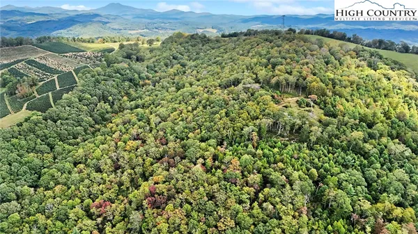 $219,000 | Lot 10 Mountain Laurel Parkway, Newland, NC 28657