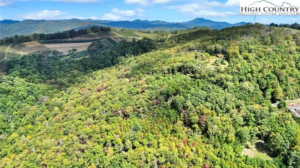 $219,000 | Lot 10 Mountain Laurel Parkway, Newland, NC 28657