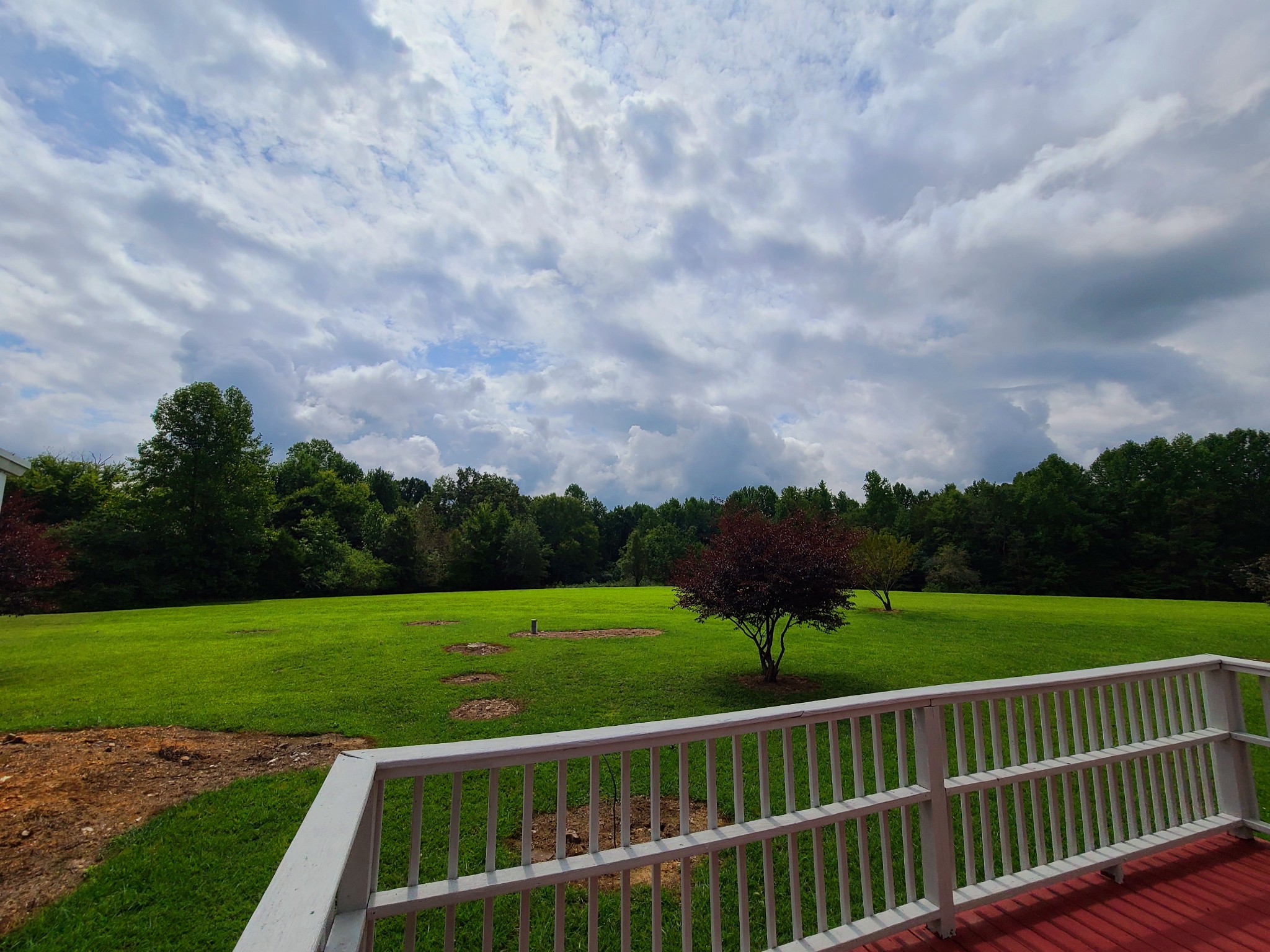 89 Bassham Road Five Points, TN 38457 - Photo 27 of 48 a view of a yard with a fence