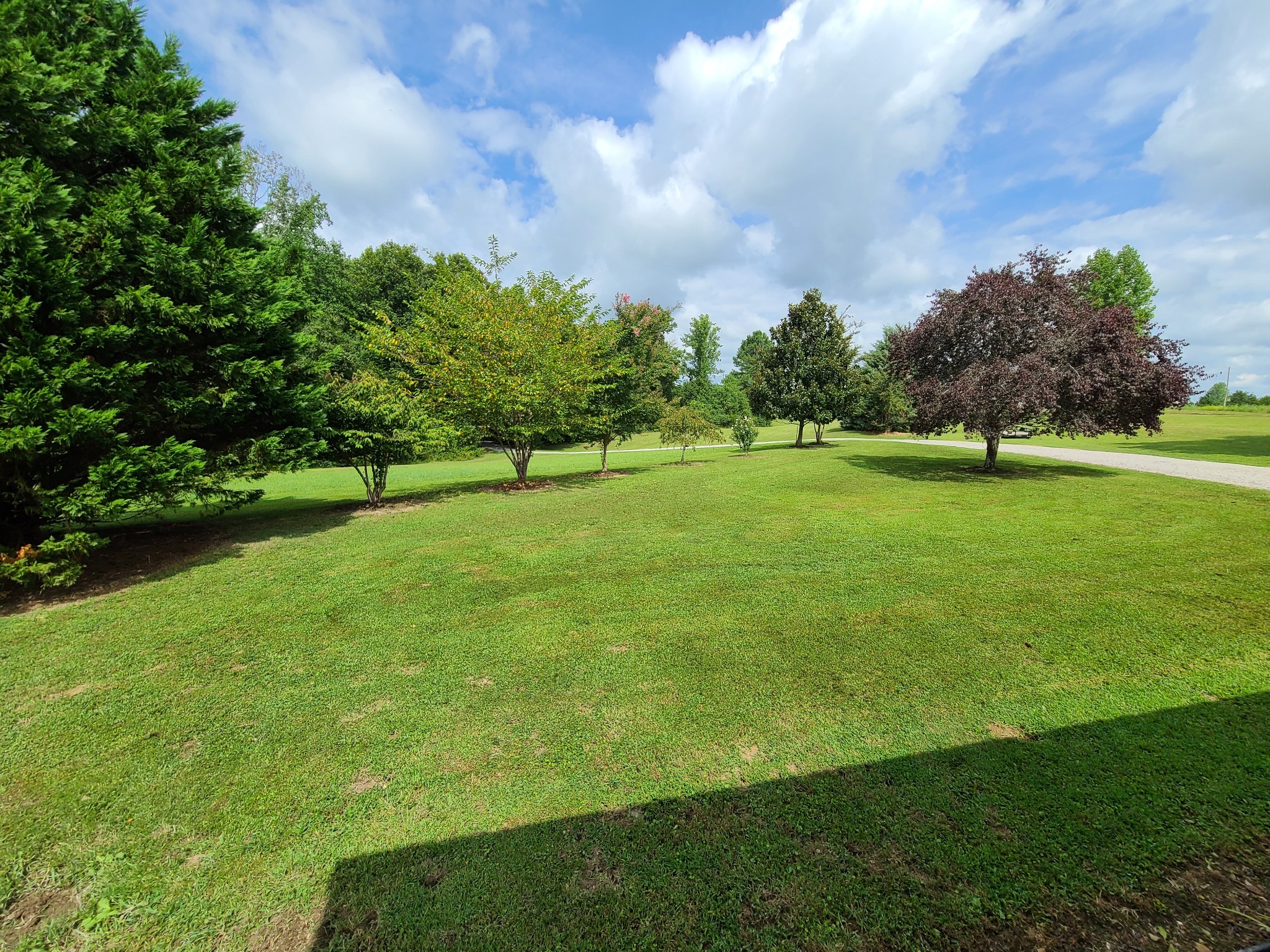 89 Bassham Road Five Points, TN 38457 - Photo 29 of 48 a view of a big yard with a large trees