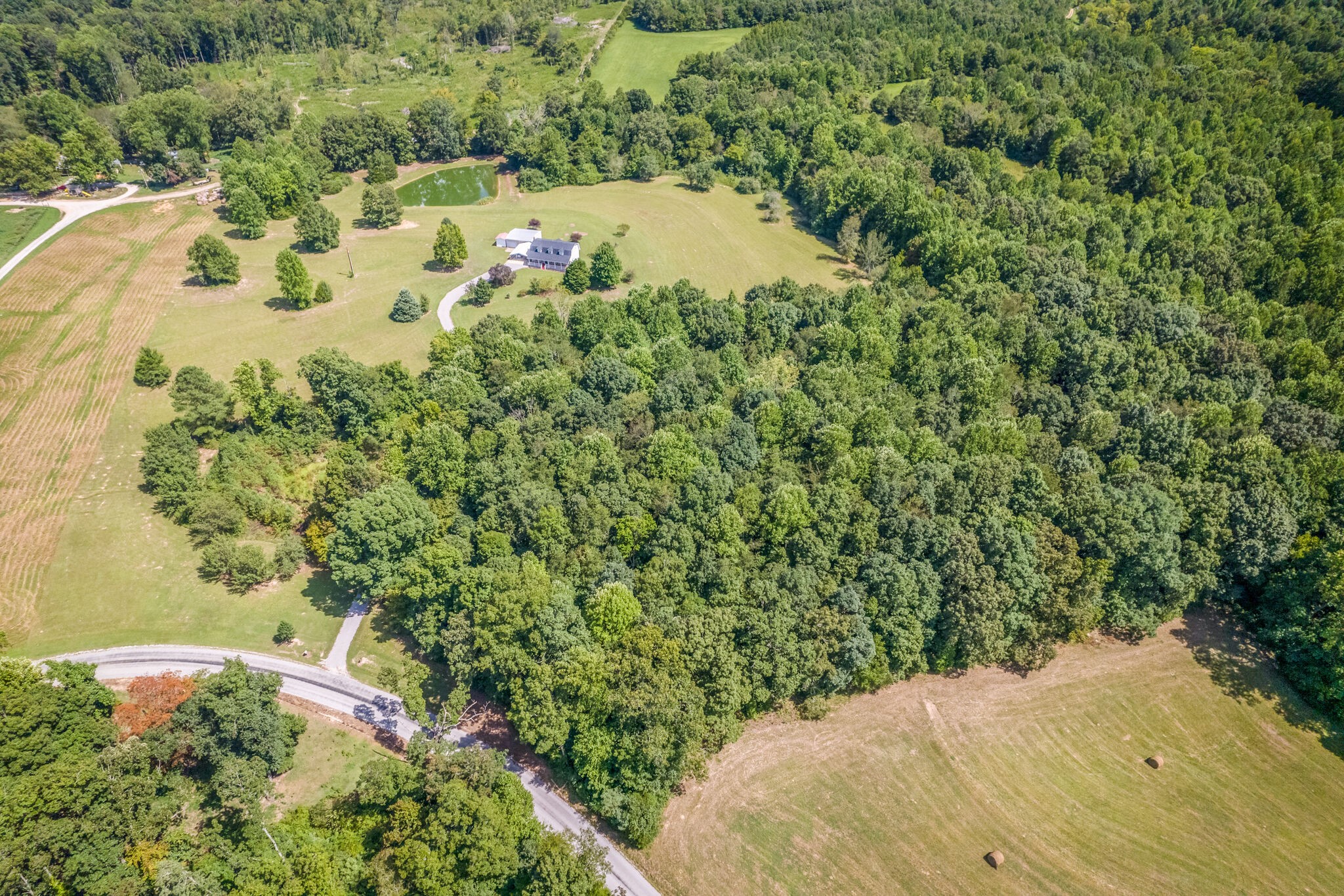 89 Bassham Road Five Points, TN 38457 - Photo 35 of 48 a view of a yard with a tree