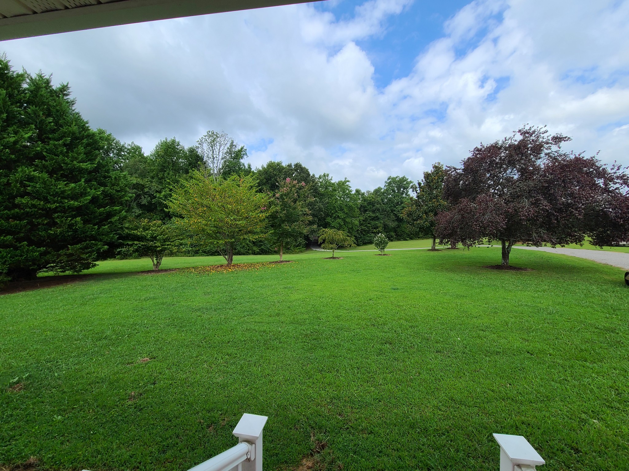 89 Bassham Road Five Points, TN 38457 - Photo 4 of 48 a view of a green field